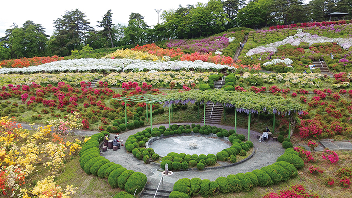 寒河江公園 寒河江市公式サイト 寒河江公園ホーム