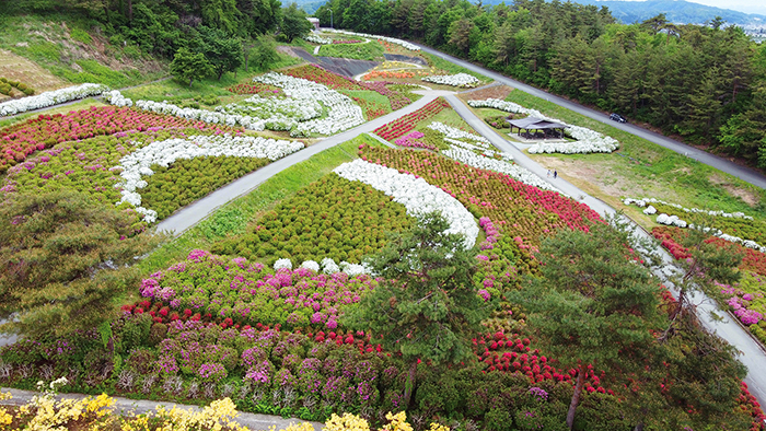 寒河江公園 寒河江市公式サイト 寒河江公園ホーム